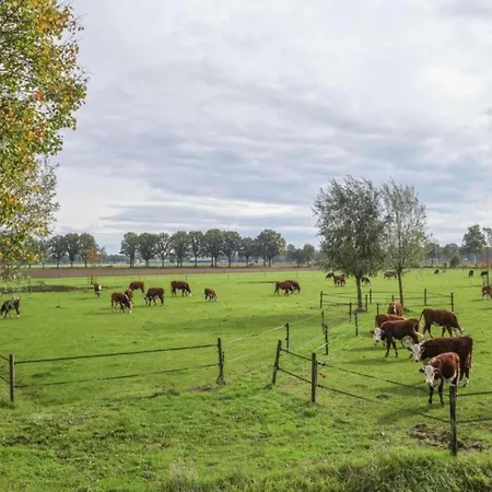 Casa vacanze In With Garden *