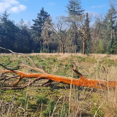 Dom wakacyjny In With Garden *