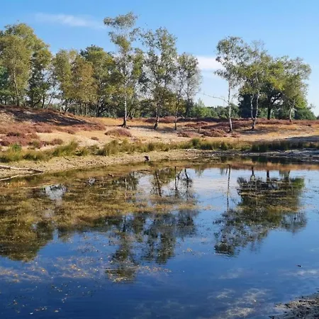 In With Garden 펜션 *