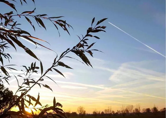 In With Garden Holiday home *