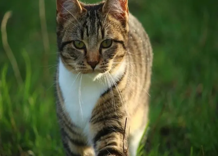 펜션 In With Garden *