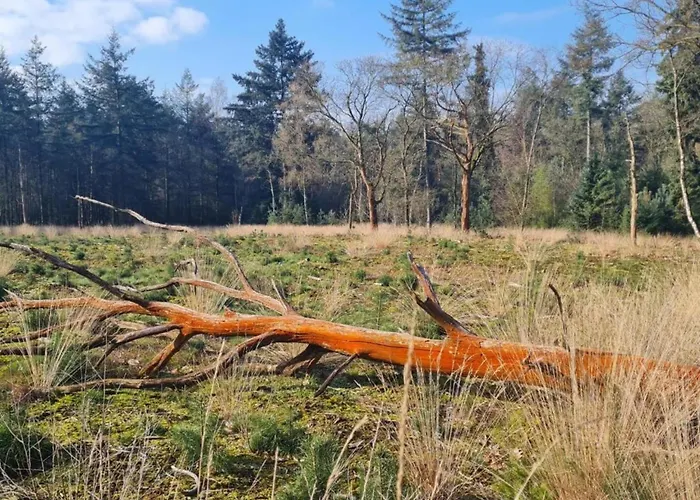 펜션 In With Garden *