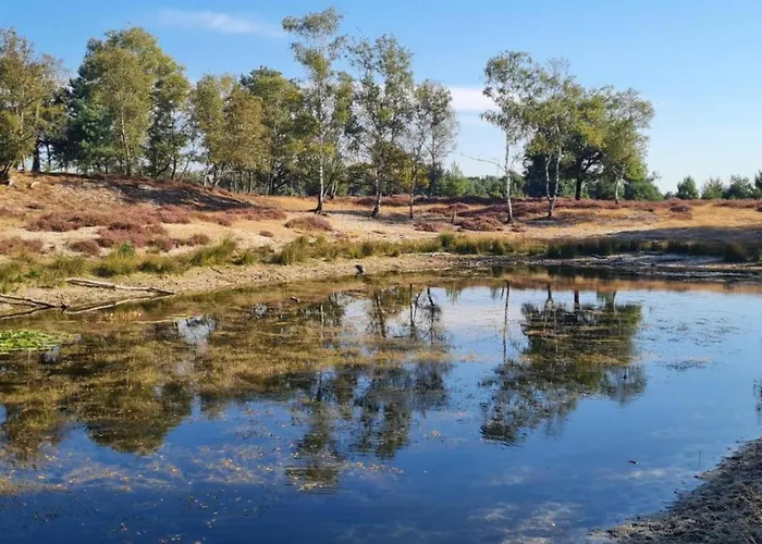 In With Garden 펜션 *