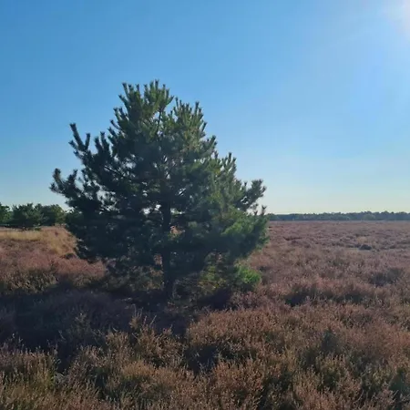 In With Garden * Elsendorp