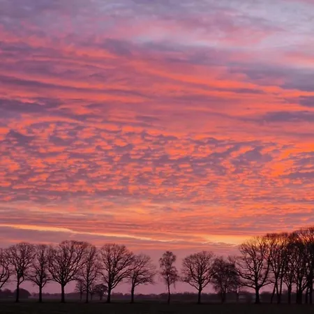 In With Garden Feriehus Elsendorp
