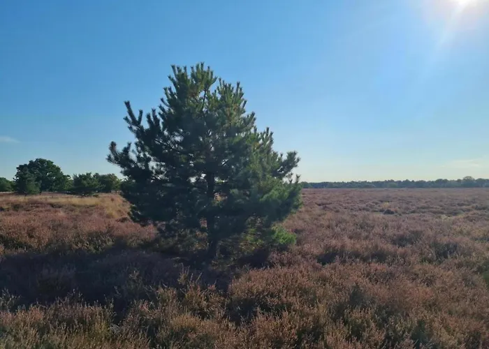 In With Garden * Elsendorp