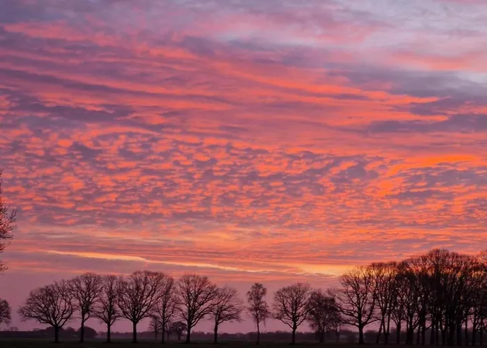 In With Garden Casa vacanze Elsendorp